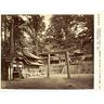 Torii du sanctuaire shintō Tōshō-gū